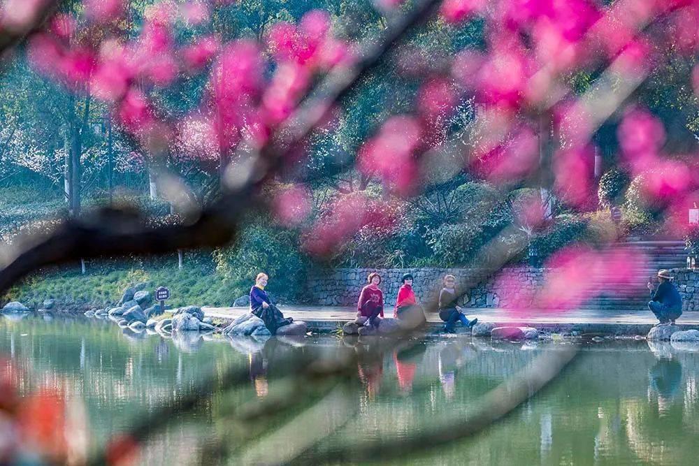2024年了谁还在用修图软件修图?秒变影像大师的秘诀找到了